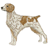 BRITTANY SPANIEL