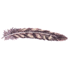 WOODPECKER FEATHER