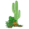 CACTUS