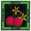 PLUMS