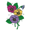 PANSIES