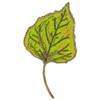 LEAF