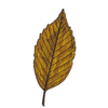 LEAF