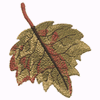 LEAF