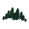 PINE TREES