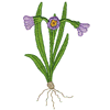 FLORAL BULB