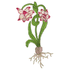 FLORAL BULB