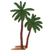 PALM TREES