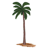 PALM TREE