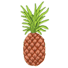 PINEAPPLE