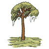 SWAMP TREE