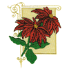 POINSETTIAS