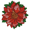 POINSETTIA