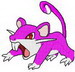 Rattata