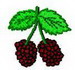 Himbeeren