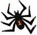 spider_CindyYeager_Tashambra