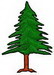 Pinetree1