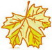 Autumn Leaf 6