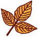 Leaf5_s