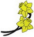 DAFFODIL1