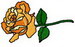 Rose5LF