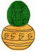 Cactus-2