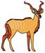 Kudu