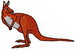 Kangaroo2