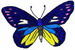 Butterfly02