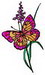 Butterfly_Flower