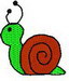 snail2