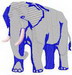 Km-Elephant 1a