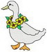 B_mr Quackers