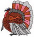 Turkey701