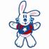 Patriotic Bunny