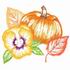 Pumpkin & Pansy