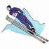 Ski Jumping