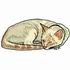 Sleeping Cat