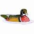 Wood Duck