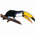 Toco Toucan