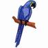 Hyacinthine Macaw