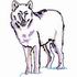 Arctic Wolf