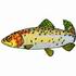 Rainbow Trout