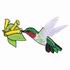 Broad-Tailed Hummingbird