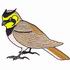 Horned Lark