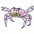 Ghost Crab