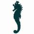 Seahorse