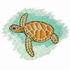 Green Turtle