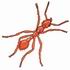 Fire Ant