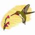 Ruby-Throated Hummingbird